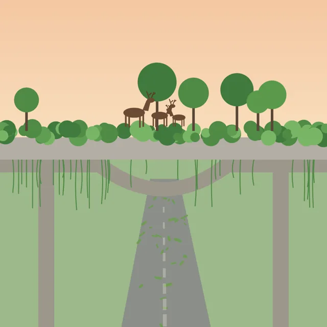 Flat illustration of deer crossing a tree-covered overpass above an empty, grassy road